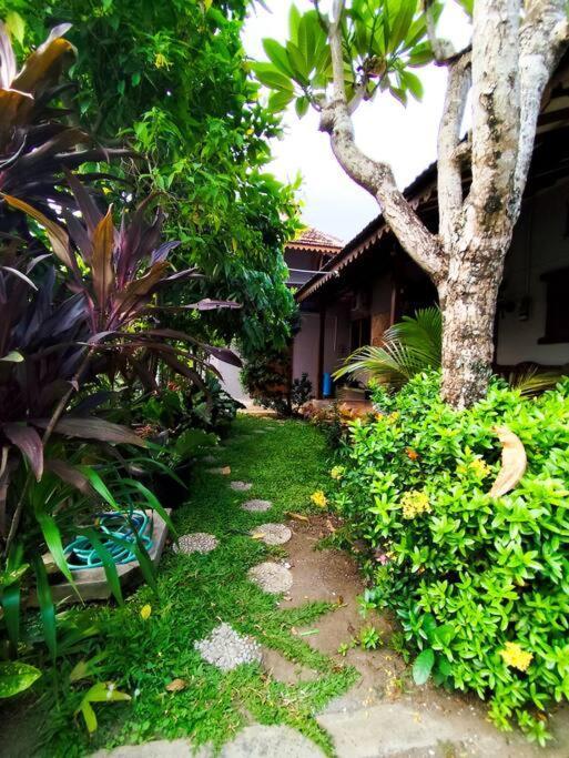 Niki Mawon Homestay Kejayan Екстер'єр фото